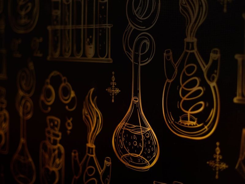 Como uma nova experiência gastronômica pode fazer você sair da rotina